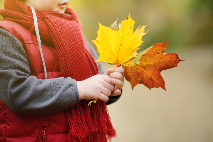 child with fall leaves